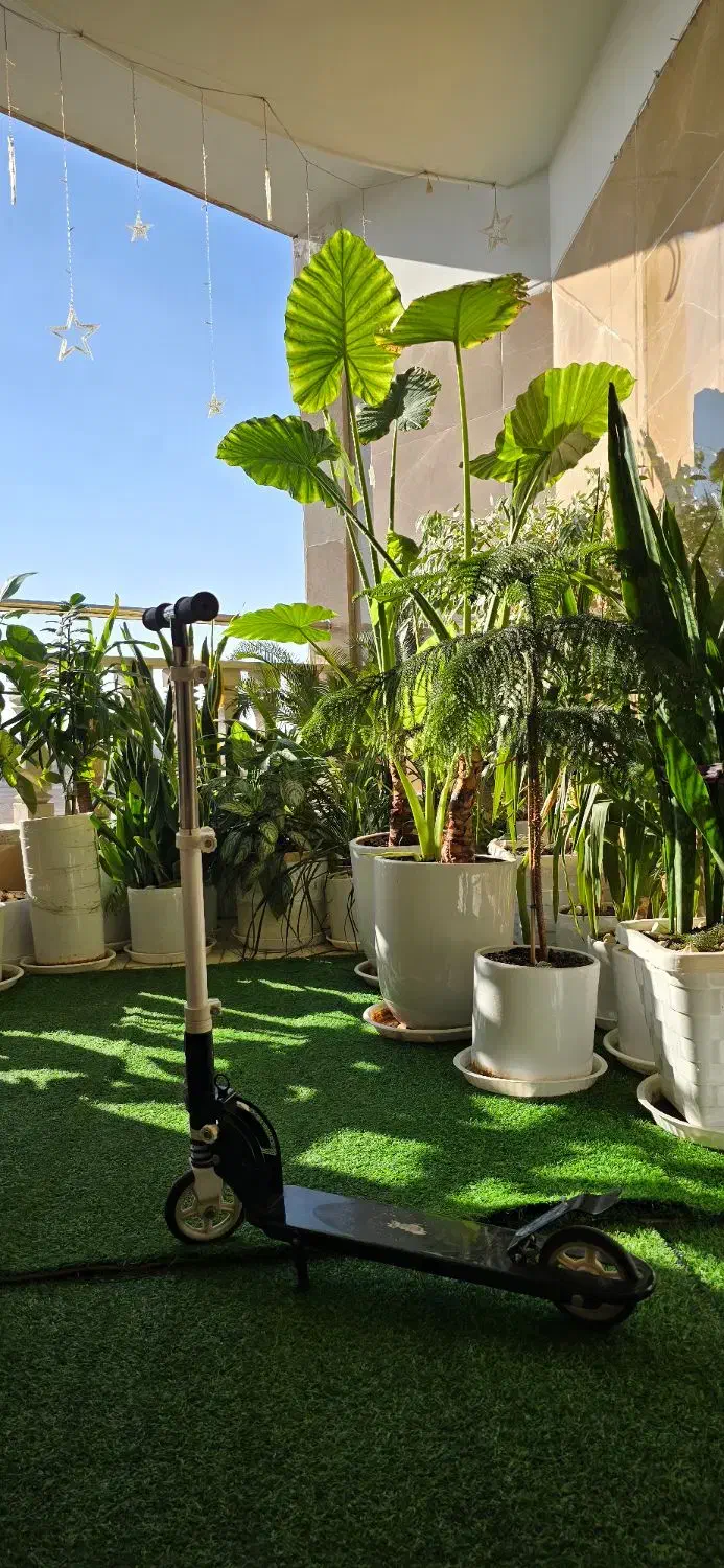 اسکوتر دخترونه|دوچرخه، اسکیت، اسکوتر|مشکیندشت, |دیوار