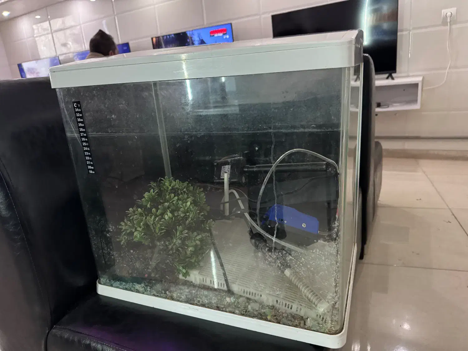 اکواریوم|ماهی|مرند, |دیوار