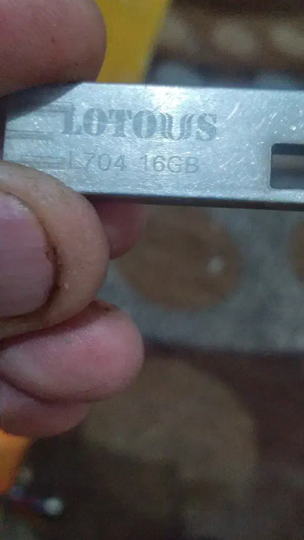 فلش پرسرعت ۱۶ گیگ اصلی|لوازم جانبی موبایل و تبلت|زاهدان, |دیوار