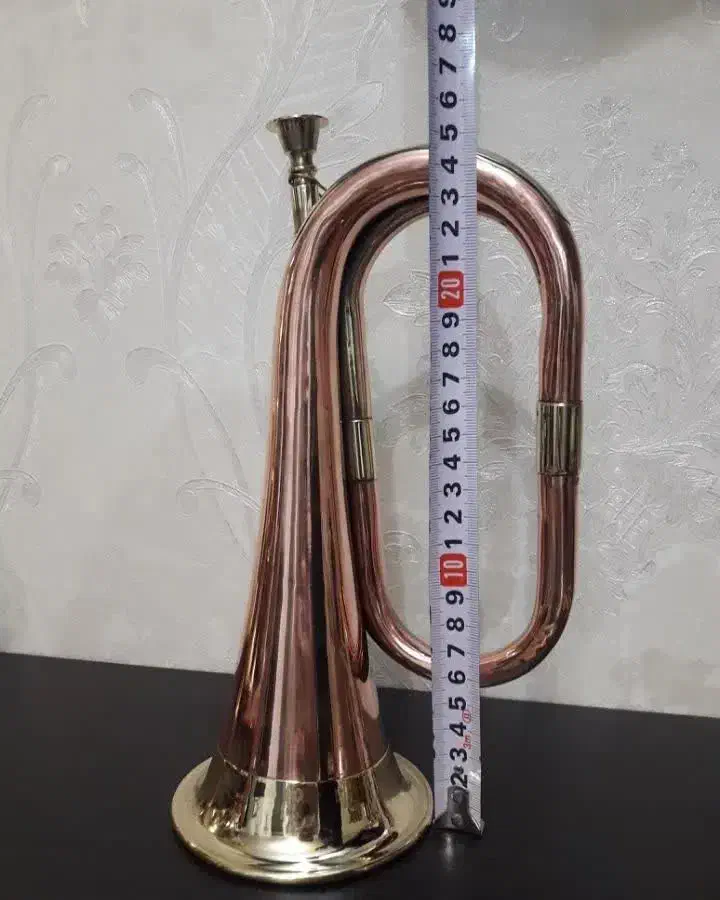 یک جفت شیپور خارجی نوآک و قدیمی|سازهای بادی|پاکدشت, پاکدشت (مامازند)|دیوار