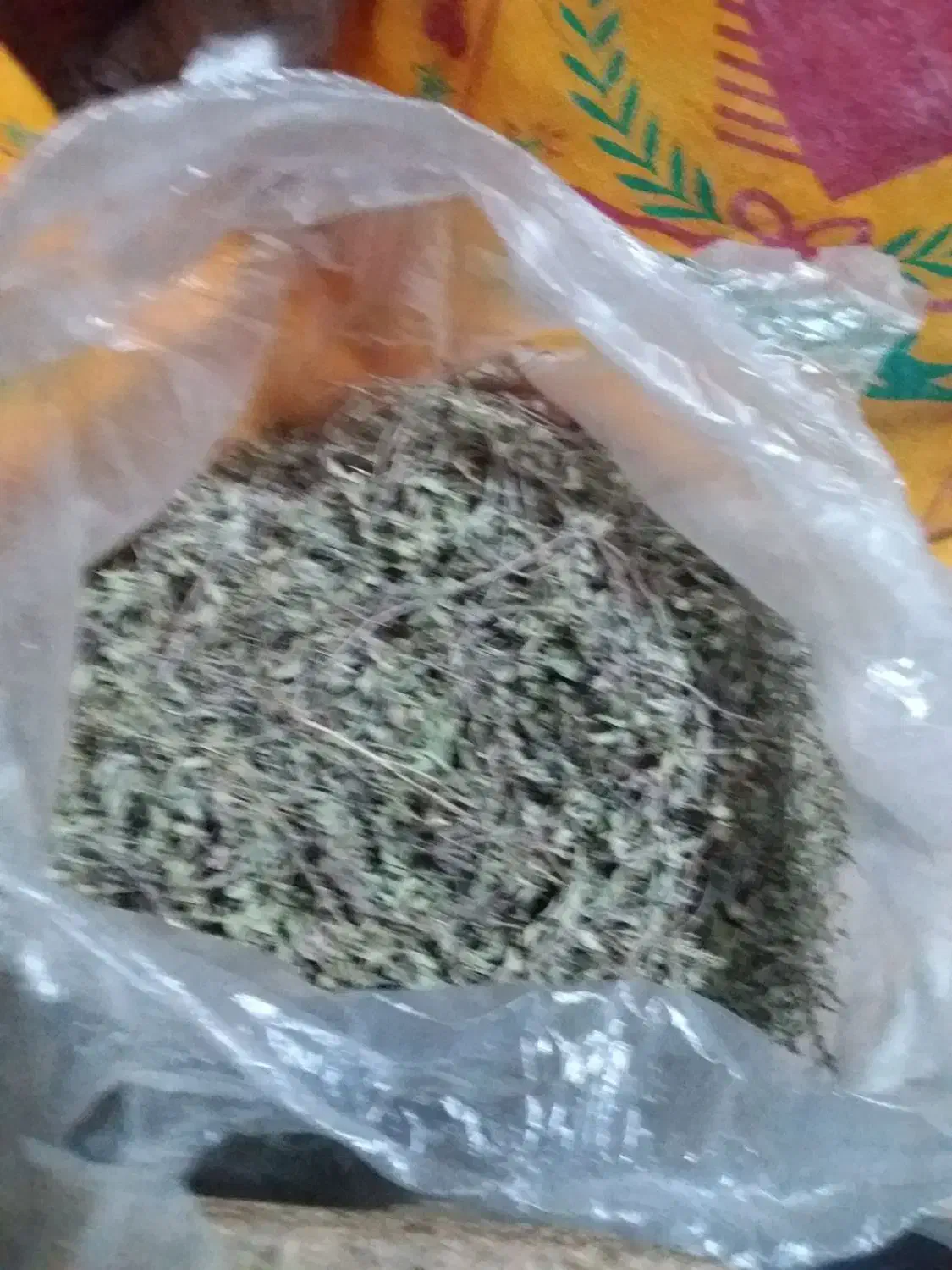 گیاه دارویی بیمادرون کاکوتو گل پرفروشی دارم|خوردنی و آشامیدنی|تربت جام, جلگه موسی آباد|دیوار