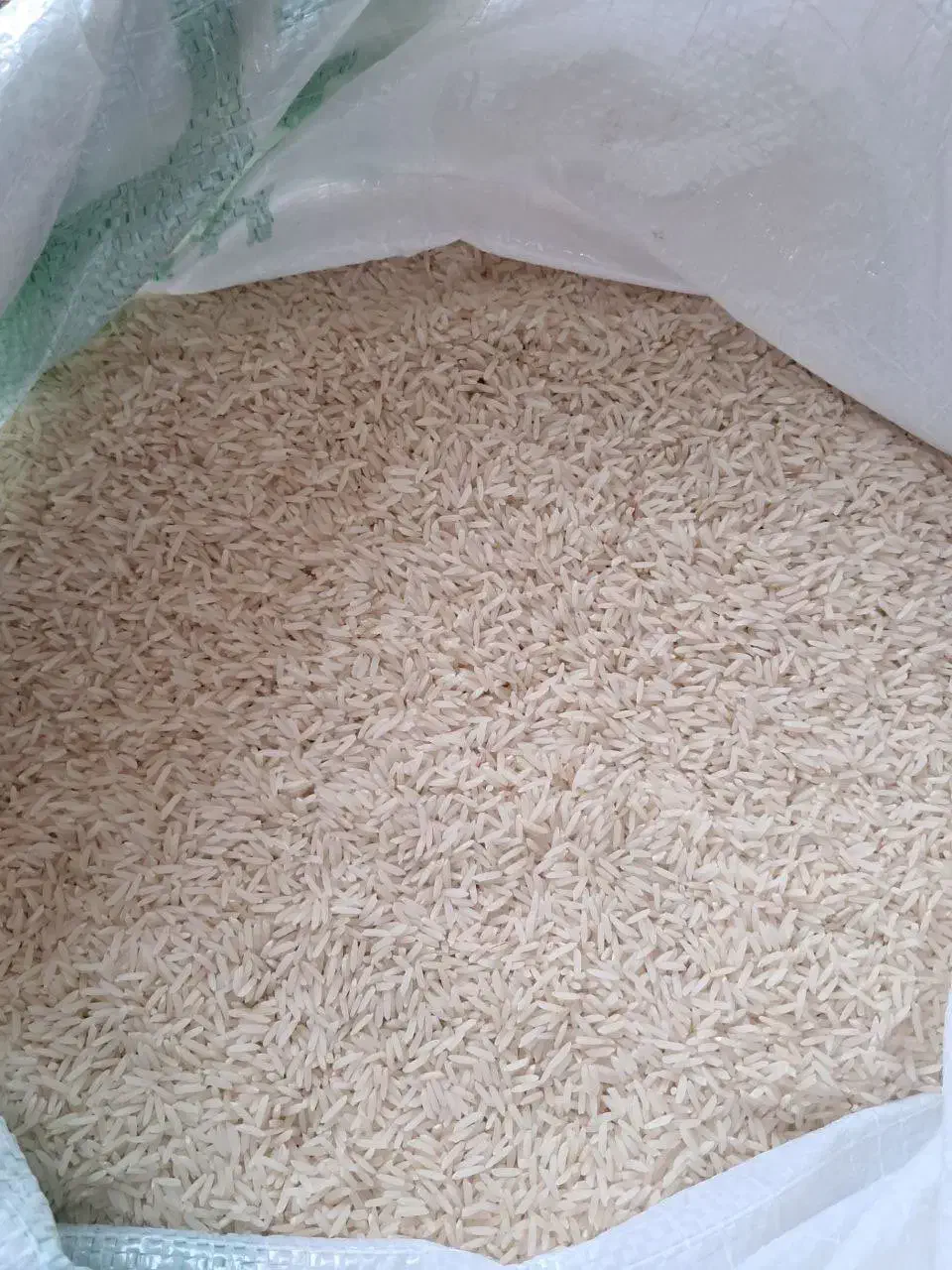 برنج دم سیاه|خوردنی و آشامیدنی|مشگین شهر, |دیوار