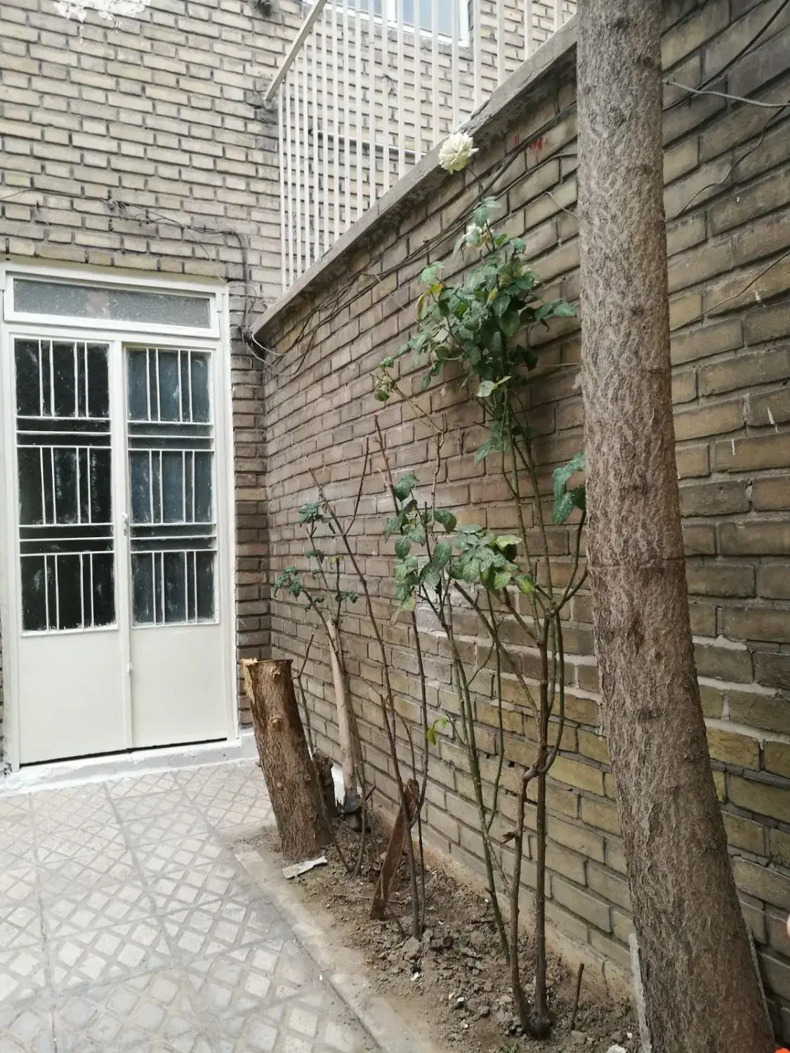 فروش ملک 70 متری در بازار، ابوسعید، عدالتخواه|فروش خانه و ویلا|تهران, پارک شهر|دیوار