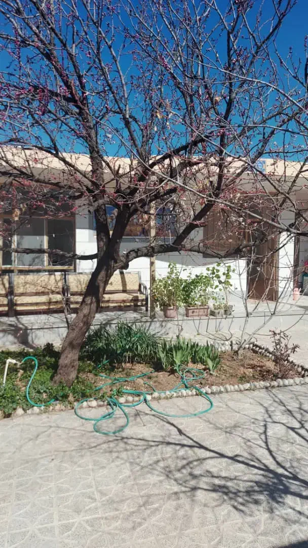 سوئیت اجاره ای|اجارهٔ کوتاه‌مدت آپارتمان و سوئیت|ناغان, |دیوار