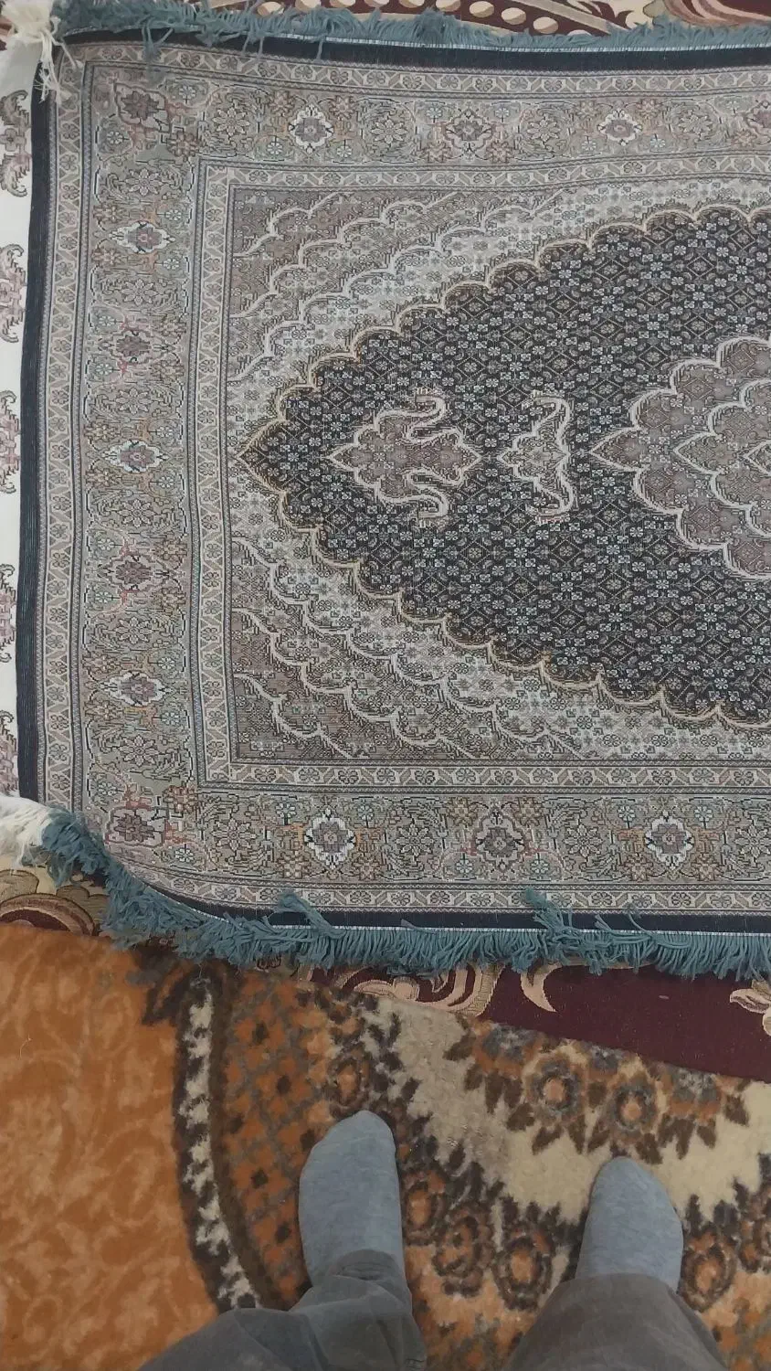 فرش زریم۱در۱/۵|فرش|خوی, |دیوار