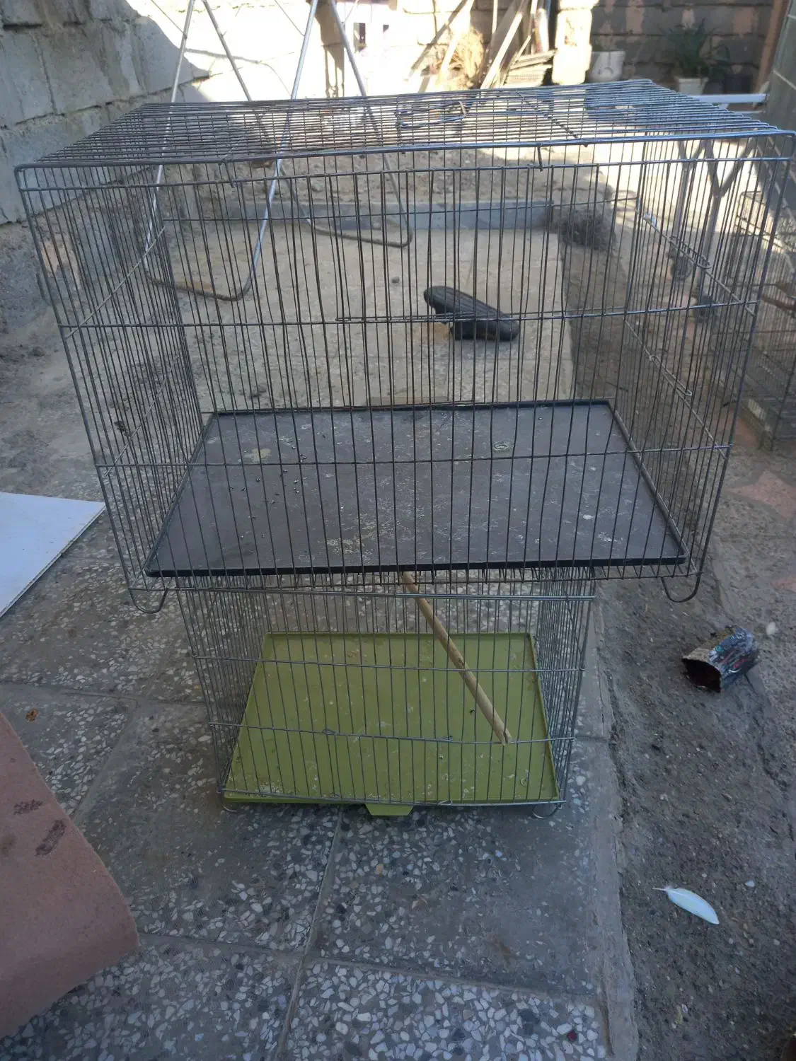 قفس|لوازم جانبی حیوانات|میناب, |دیوار