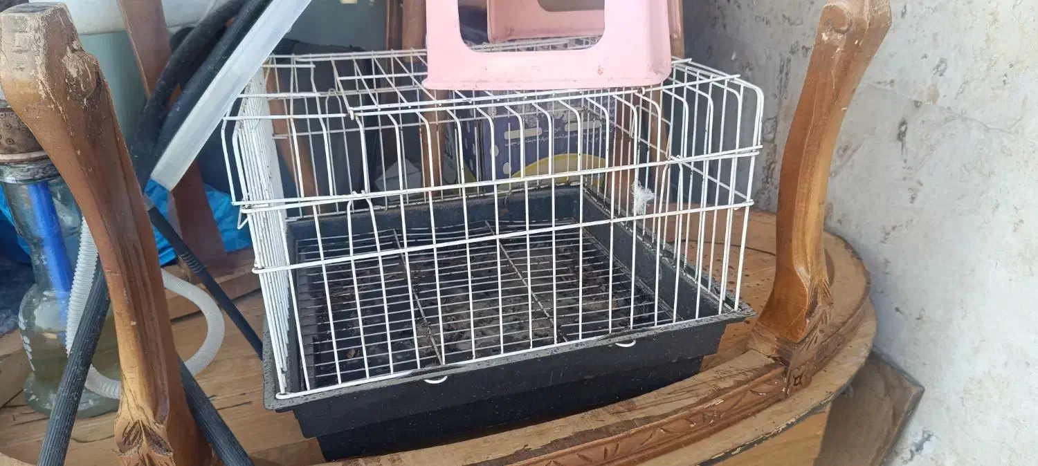 ۵ عدد قفس|لوازم جانبی حیوانات|هشتگرد, تهران دشت|دیوار