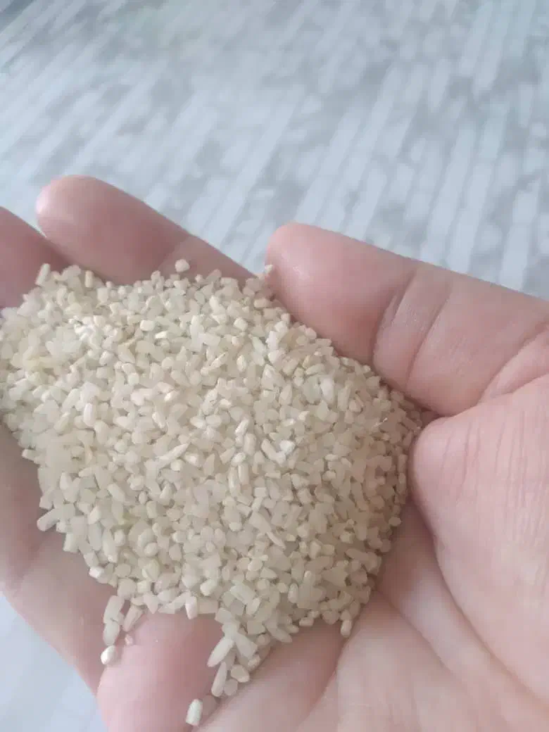 برنج نیم دانه هاشمی اعلا|خوردنی و آشامیدنی|رباطکریم, نصیرشهر|دیوار