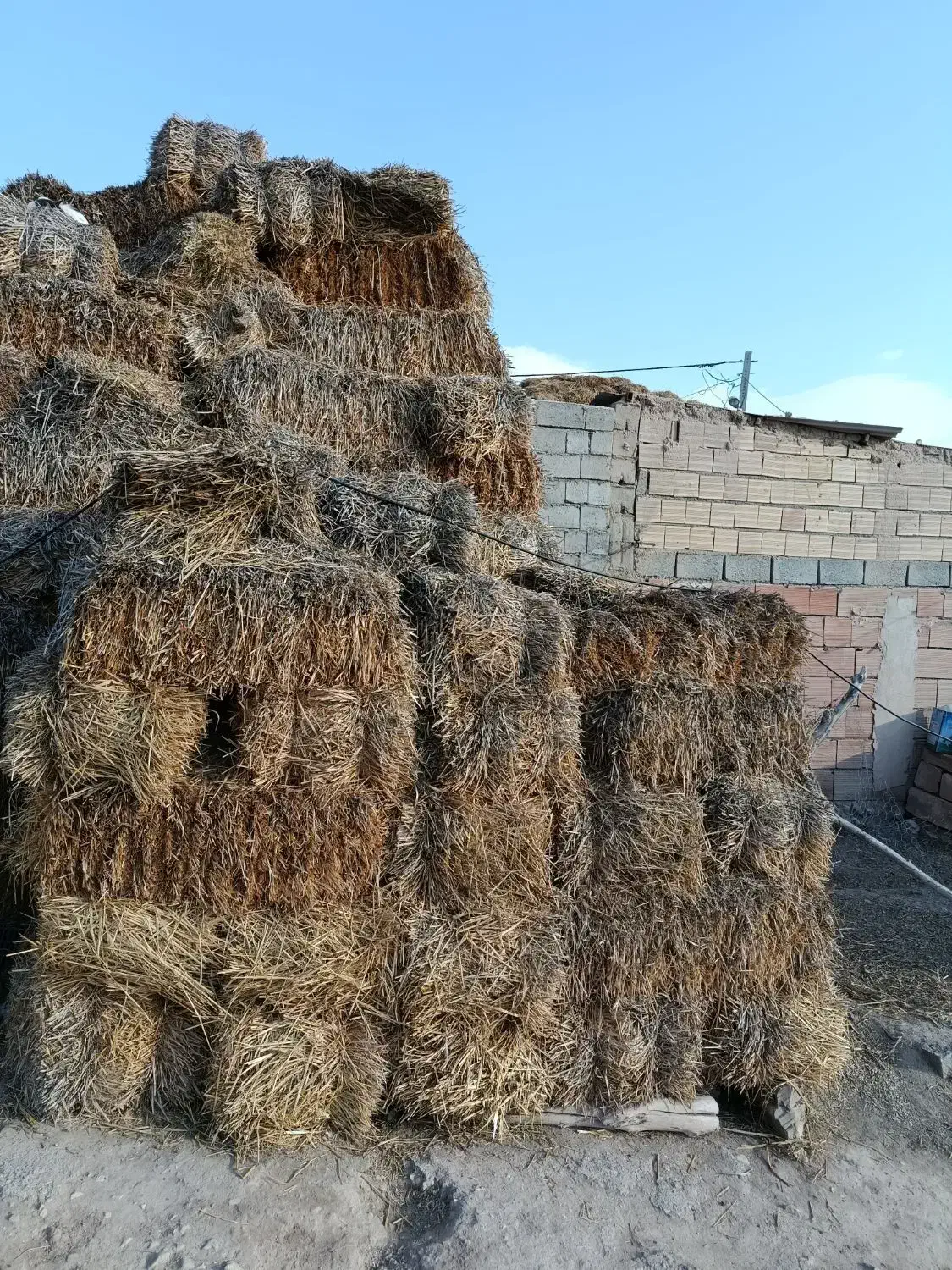 فروش. کلش پرس|حیوانات مزرعه|قره ضیاالدین, |دیوار