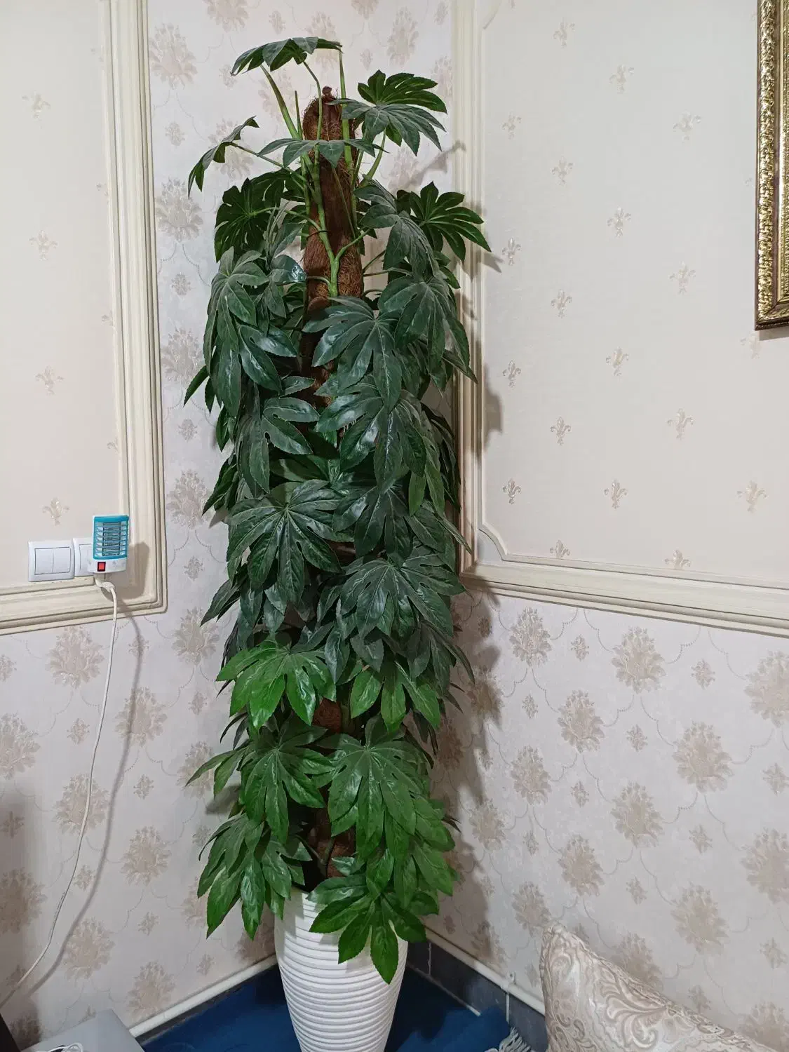 گل مصنوعی|گل مصنوعی|قدس, شهر‌قدس|دیوار