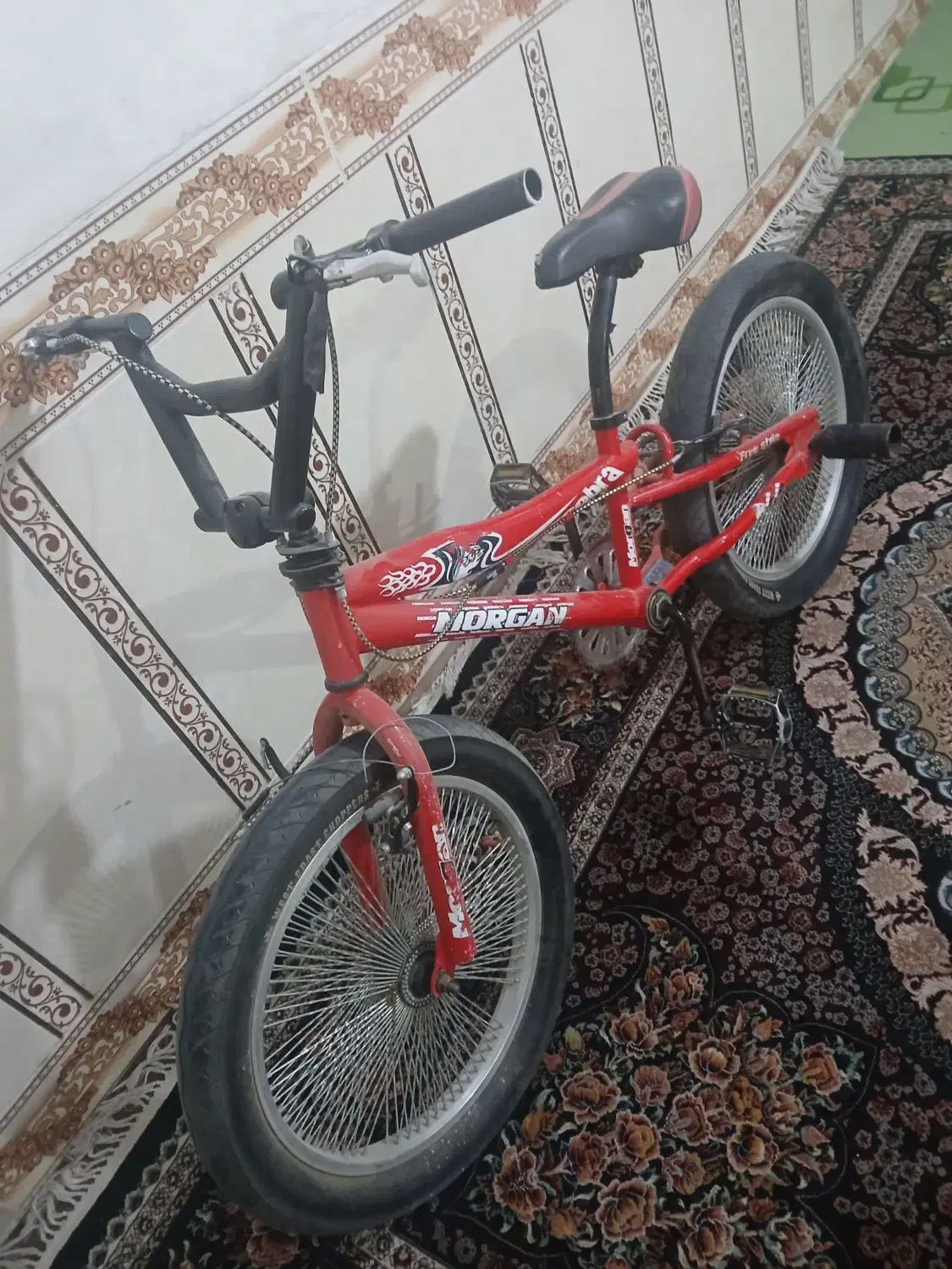 دوچرخه ۲۰ حرفه ای|دوچرخه، اسکیت، اسکوتر|شیراز, ده پیاله|دیوار