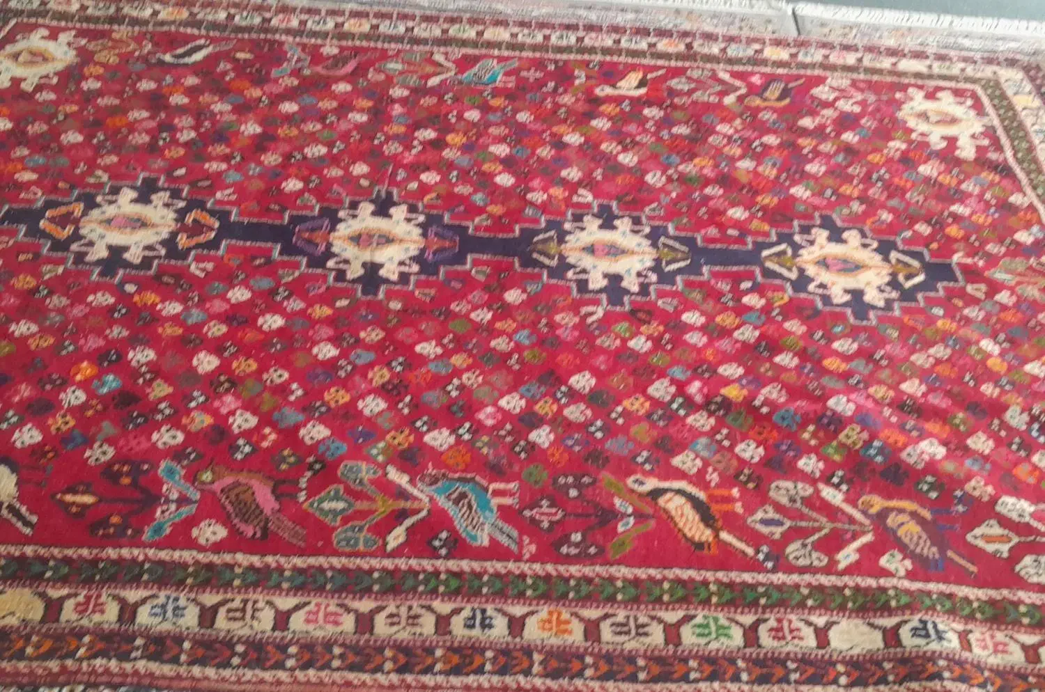 تمیزتمیز6متری|فرش|شیراز, آزادگان|دیوار