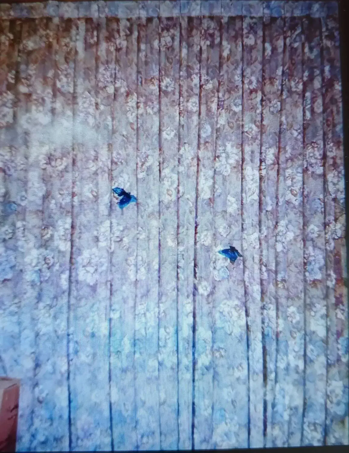 وسایل منزل|پرده، رانر، رومیزی|قرچک, محمد آباد|دیوار