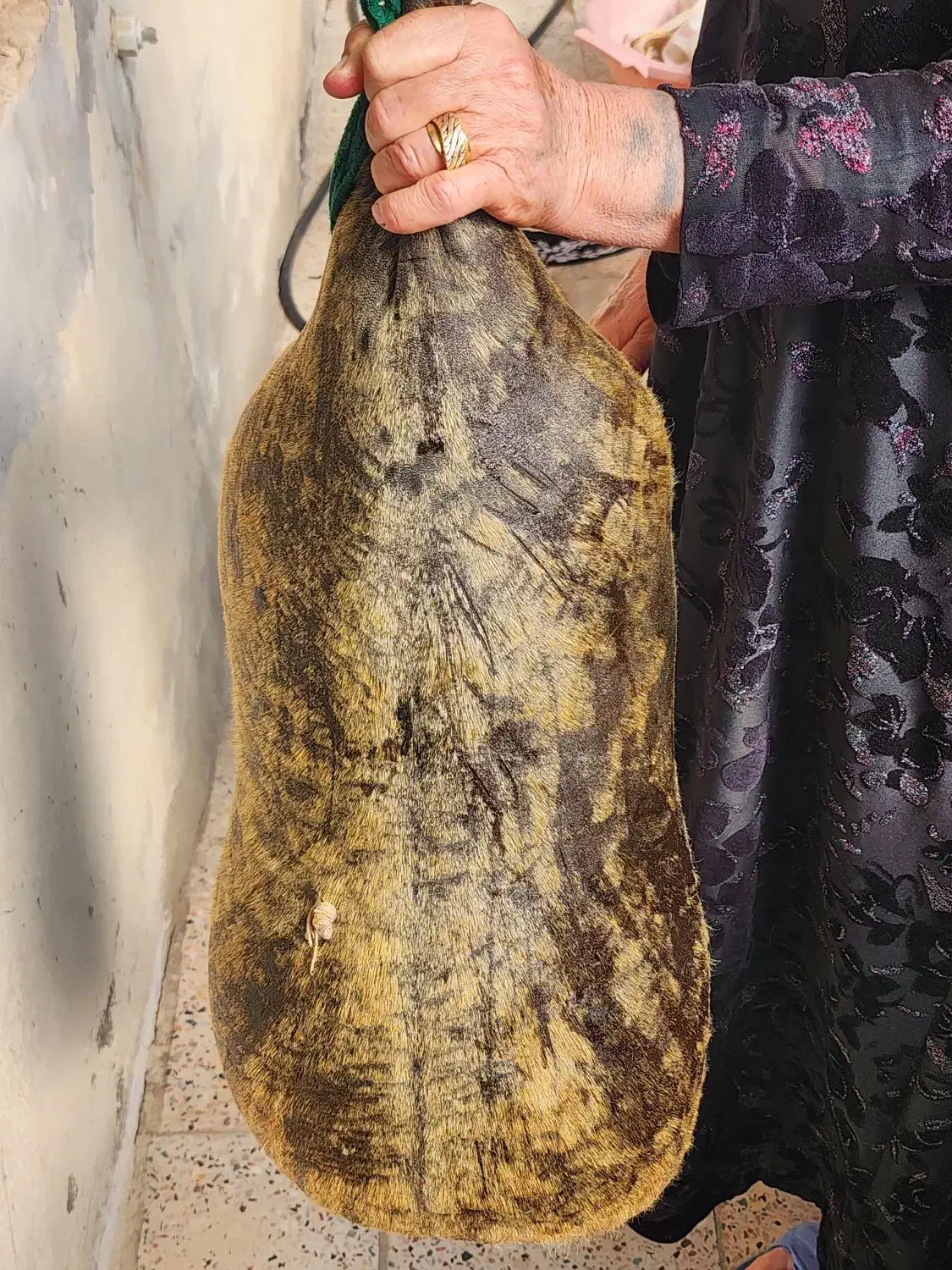 پوست هیزه|صنایع دستی و سایر لوازم تزئینی|نورآباد, |دیوار