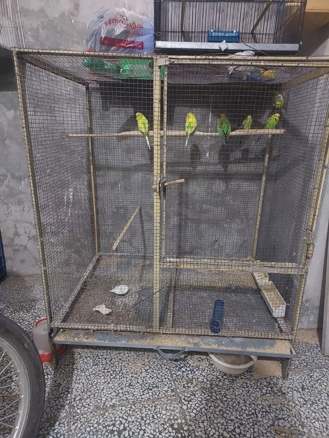 قفس اهنی (قوطی)۱×۱در۷۵|لوازم جانبی حیوانات|هادی شهر, |دیوار