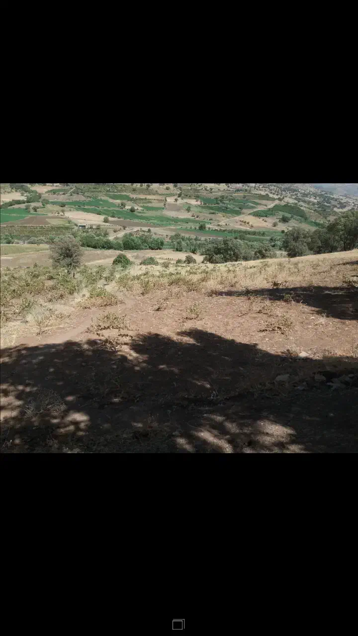 فروش زمین کشاورزی 11هزار متر روستایه تفلی|فروش زمین و ملک کلنگی|سروآباد, |دیوار