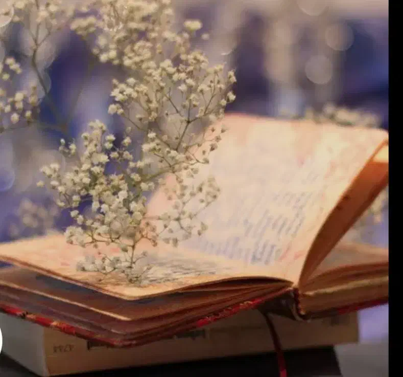 تدریس زیست زبان|خدمات آموزشی|اصفهان, خانه اصفهان|دیوار