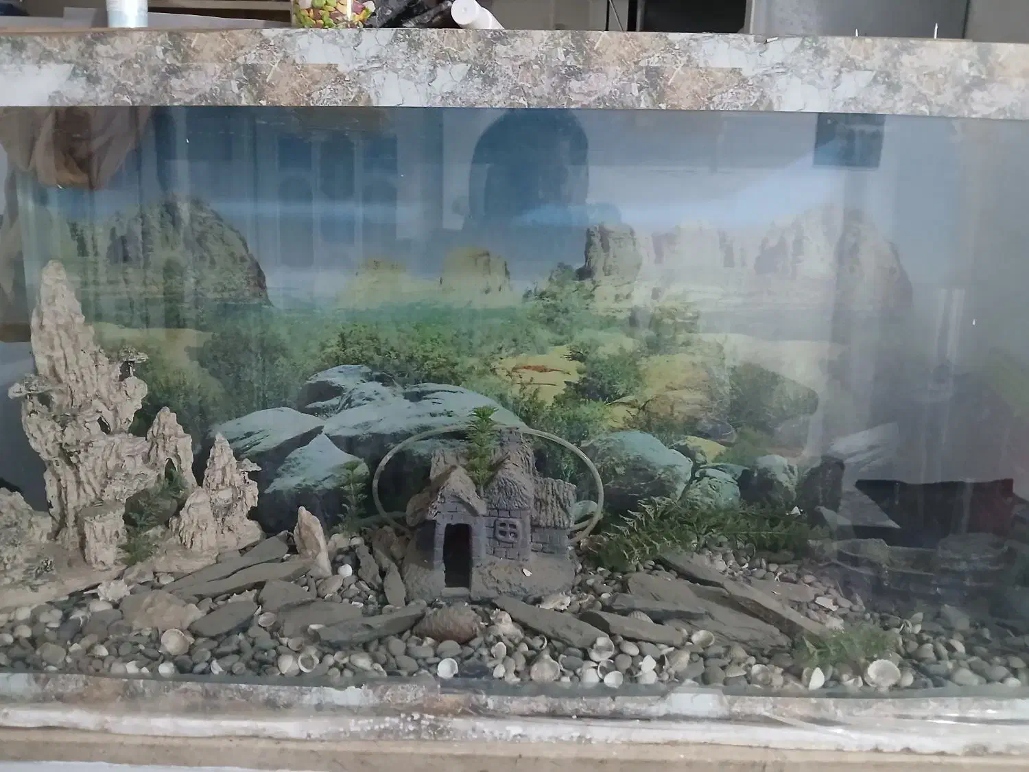 اکواریوم تمیزمرتب سالم بفروشدمیرسد|ماهی|مشهد, امیر المومنین|دیوار