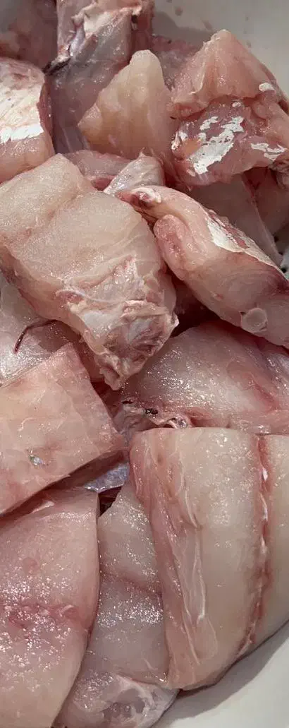 ماهی جنوب صید روز|ماهی|بومهن, |دیوار