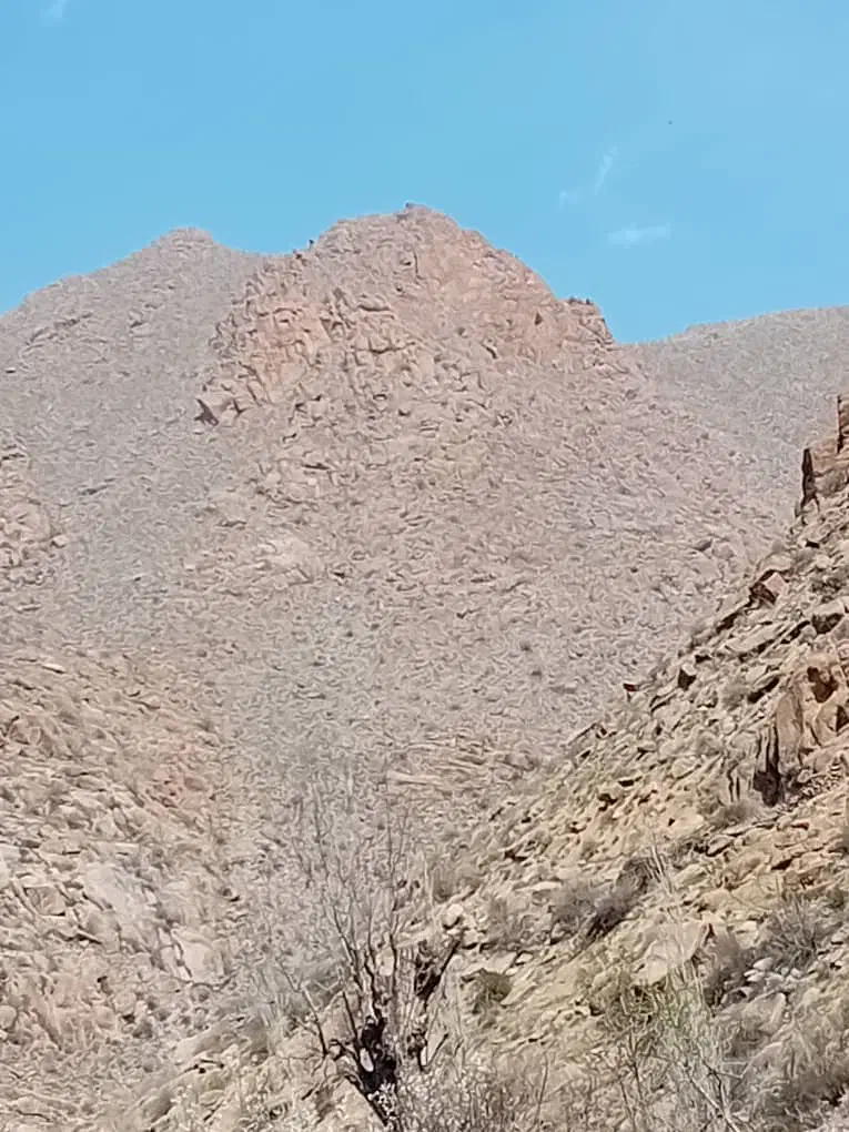 زمین ب متراژ100 متر|فروش زمین و ملک کلنگی|رامجین, |دیوار