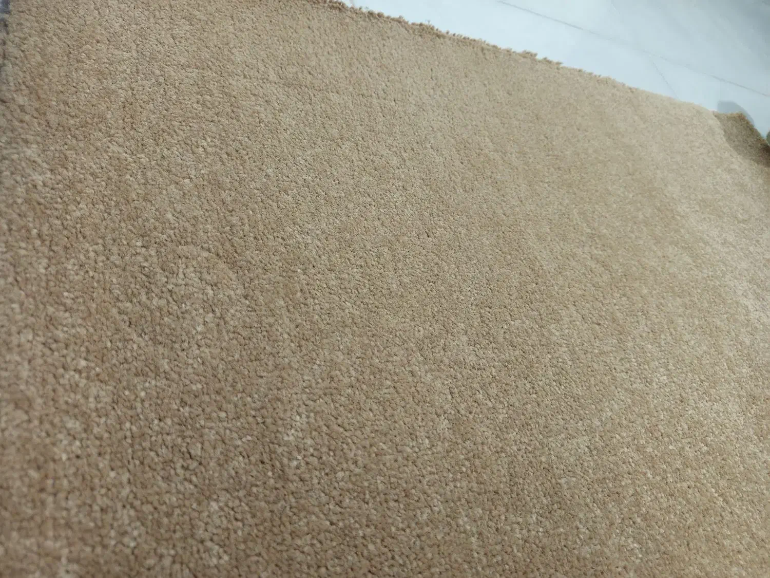 موکت پرز بلند|موکت|نیشابور, بزرگمهر|دیوار