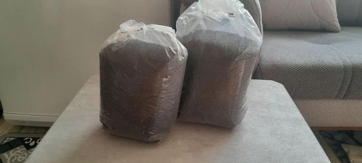 چای خشک|خوردنی و آشامیدنی|نیشابور, ریوند|دیوار