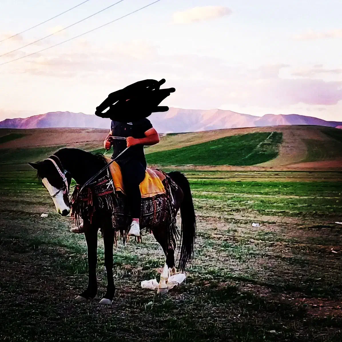 مادیان شش دانگ با کره ۵روزه|اسب و تجهیزات اسبسواری|گیان, |دیوار