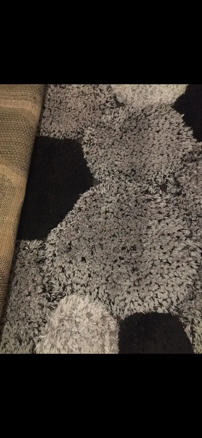 فرش ترک 6متری برند کریستال|فرش|هشتگرد, فاز ۳ مهستان|دیوار