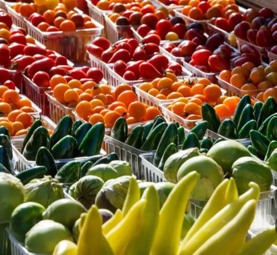 پخش سرتاسری سبزیجات و میوه تازه بطور عمده و تک|عمدهفروشی|بندرعباس, |دیوار