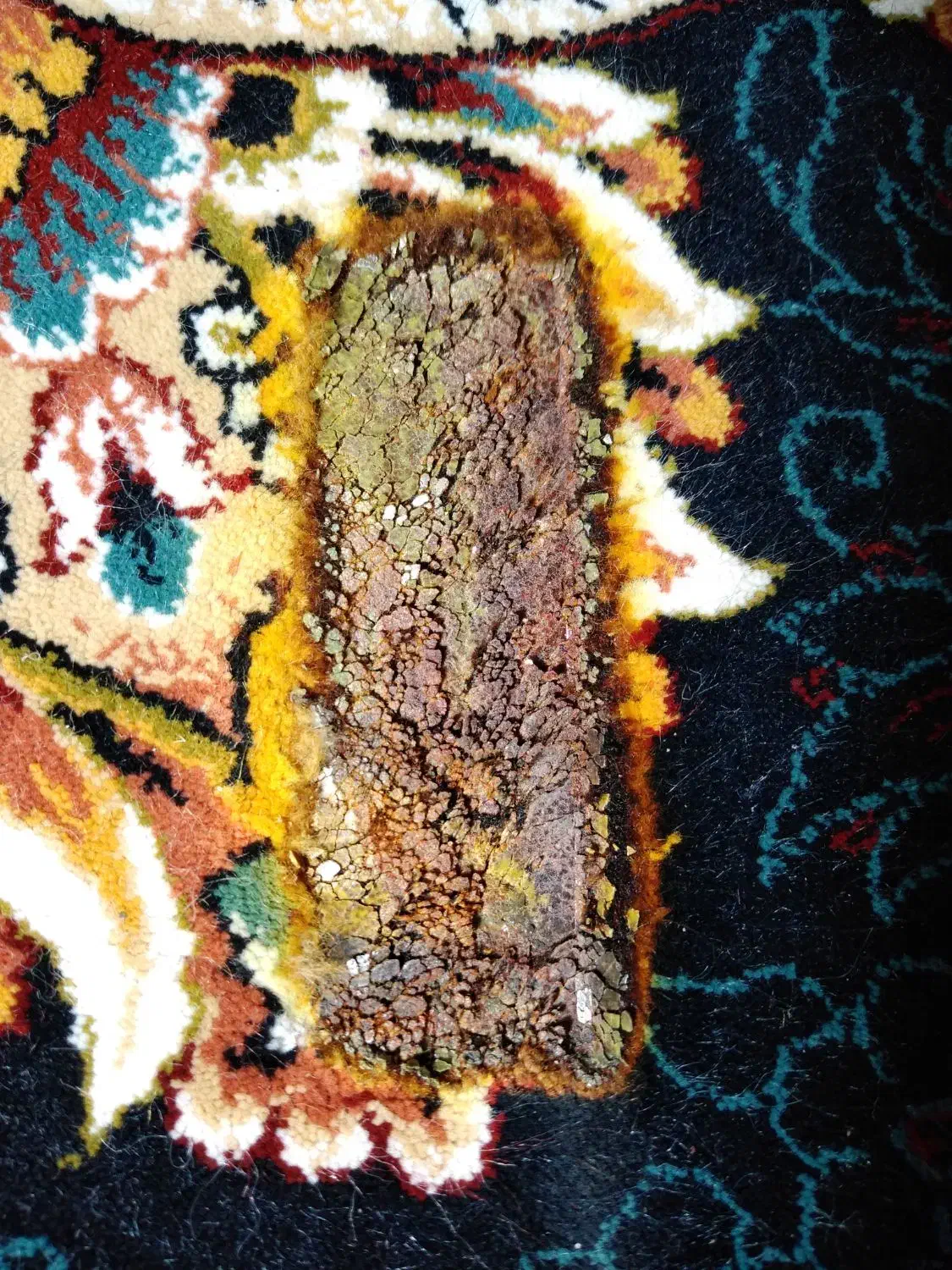 ترمیم سوختگی فرش|فرش|زرند, |دیوار