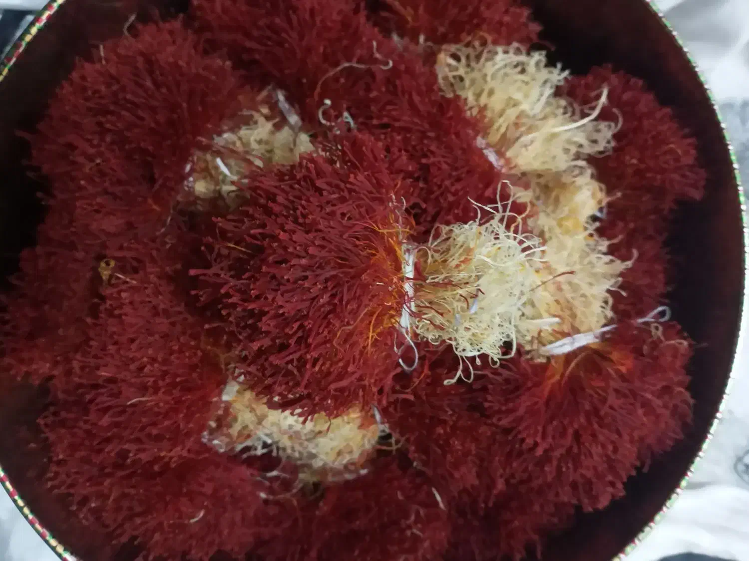 زعفران دختر پیچ محصول کشاورز|خوردنی و آشامیدنی|قائن, |دیوار