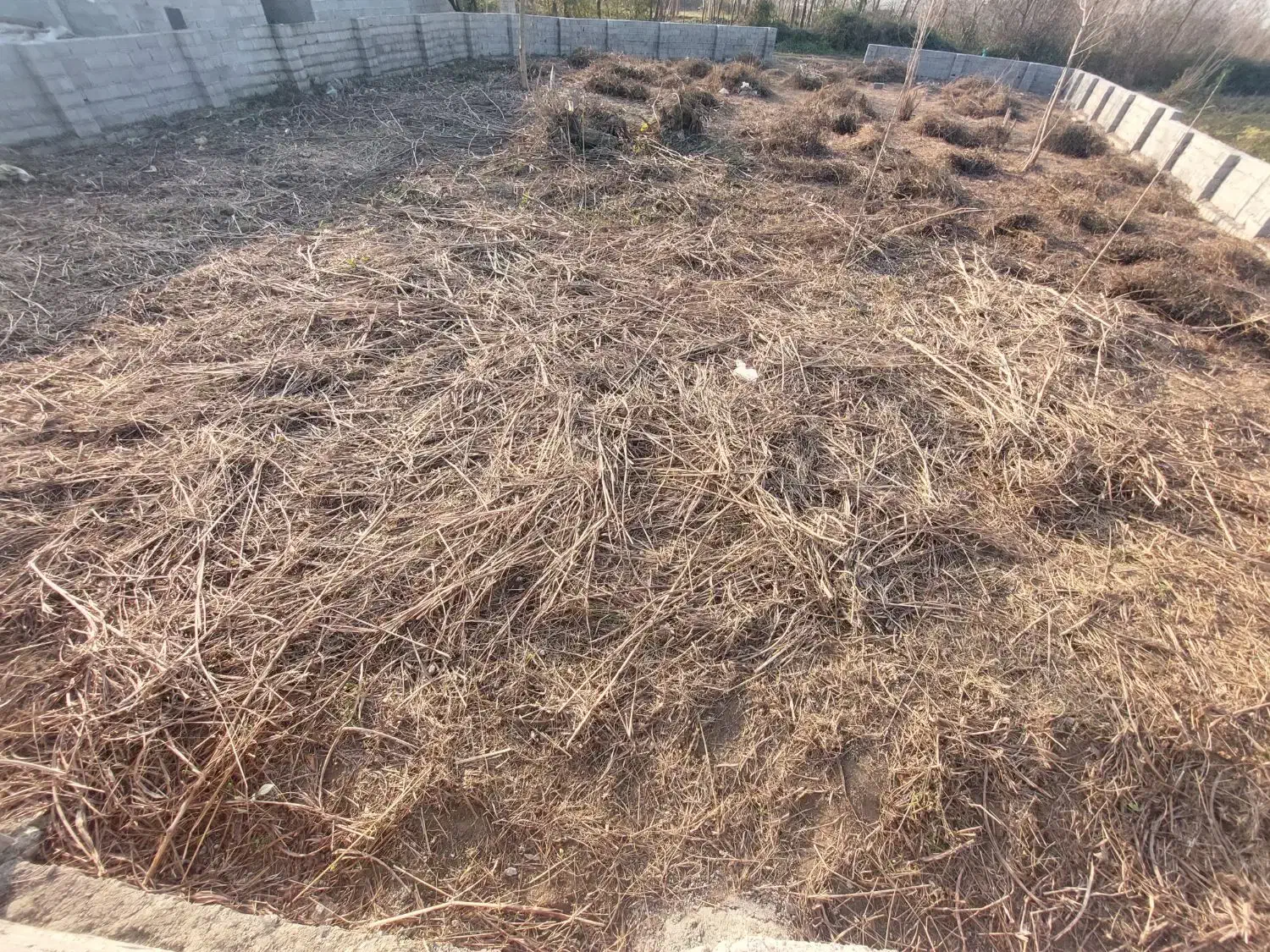 اجاره|اجارهٔ دفتر صنعتی، کشاورزی، تجاری|سنگر, |دیوار