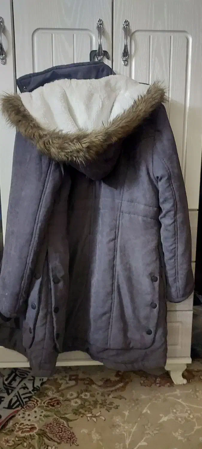 پالتو شیک|لباس|موگوئی, |دیوار