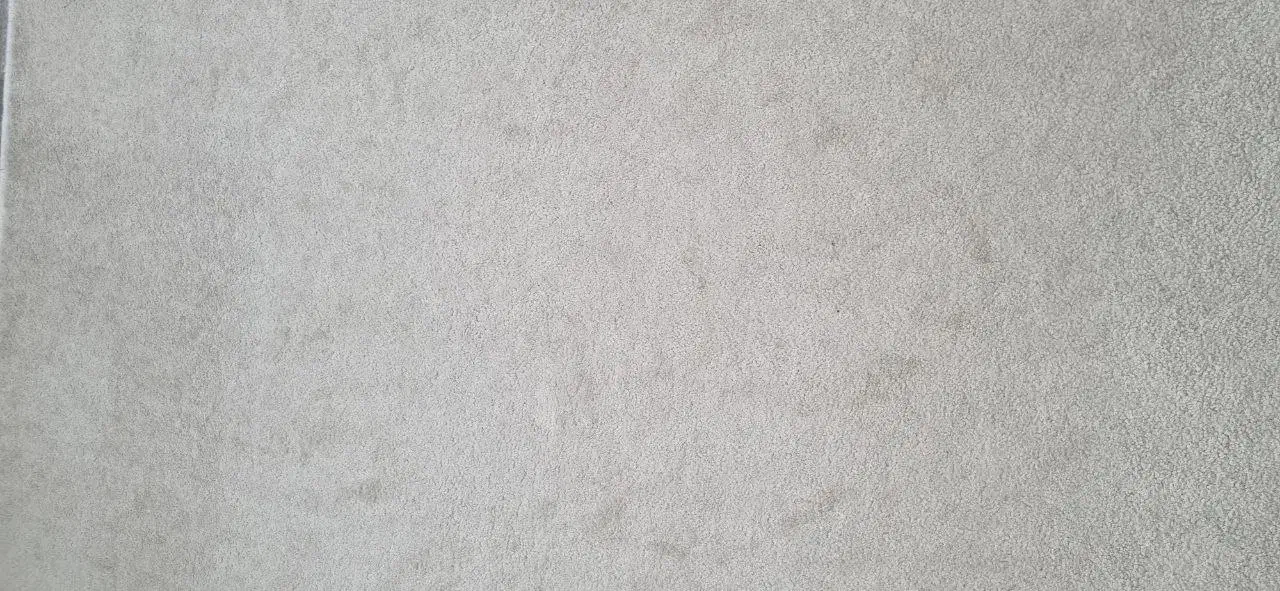 موکت ظریف مصور|موکت|کرمانشاه, |دیوار