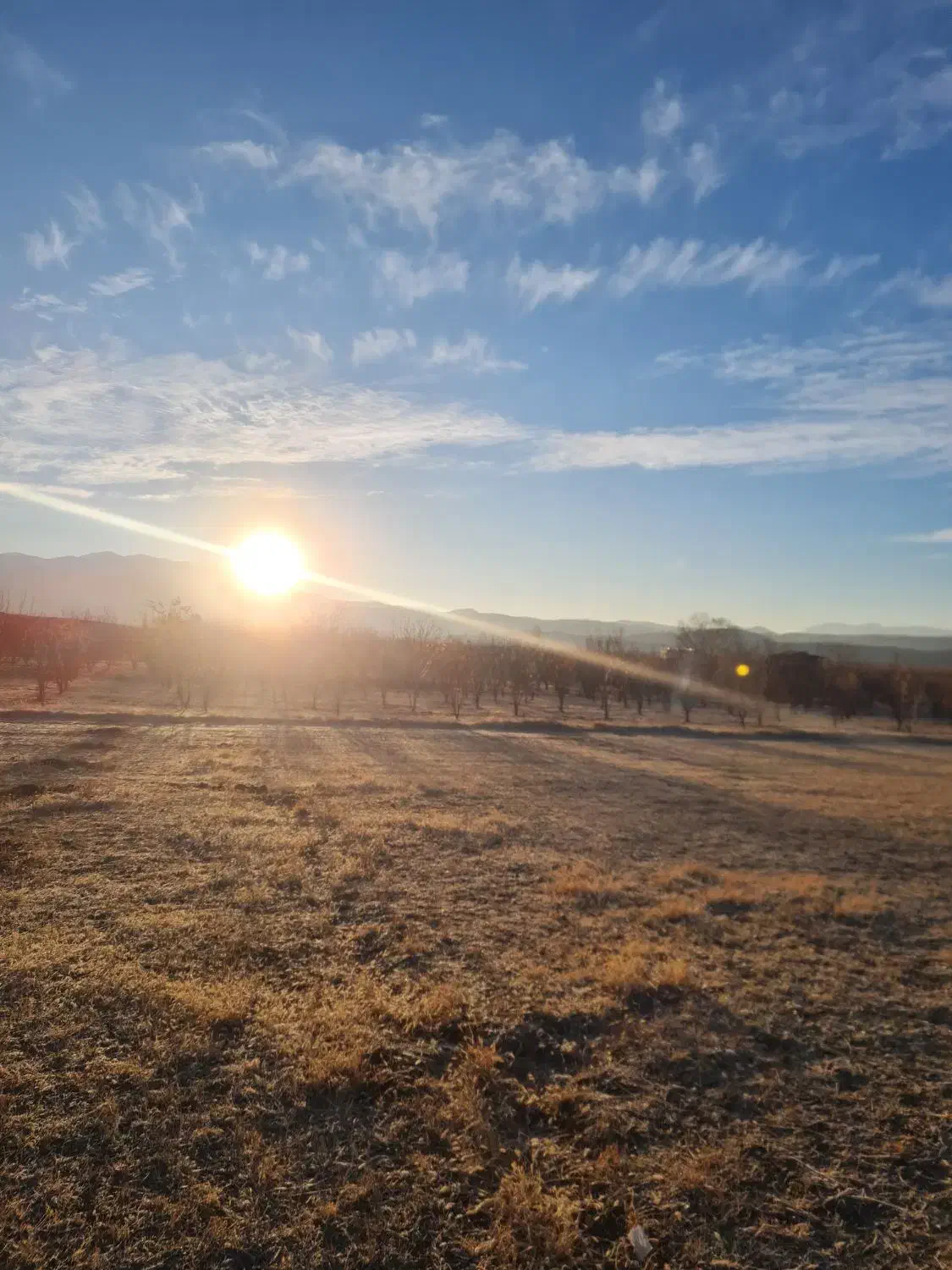 فروش یامعاوضه|فروش زمین و ملک کلنگی|شاهین دژ, |دیوار