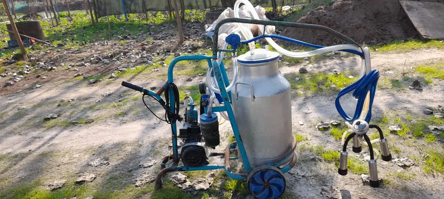 شیردوش|لوازم جانبی حیوانات|آستانه اشرفیه, |دیوار