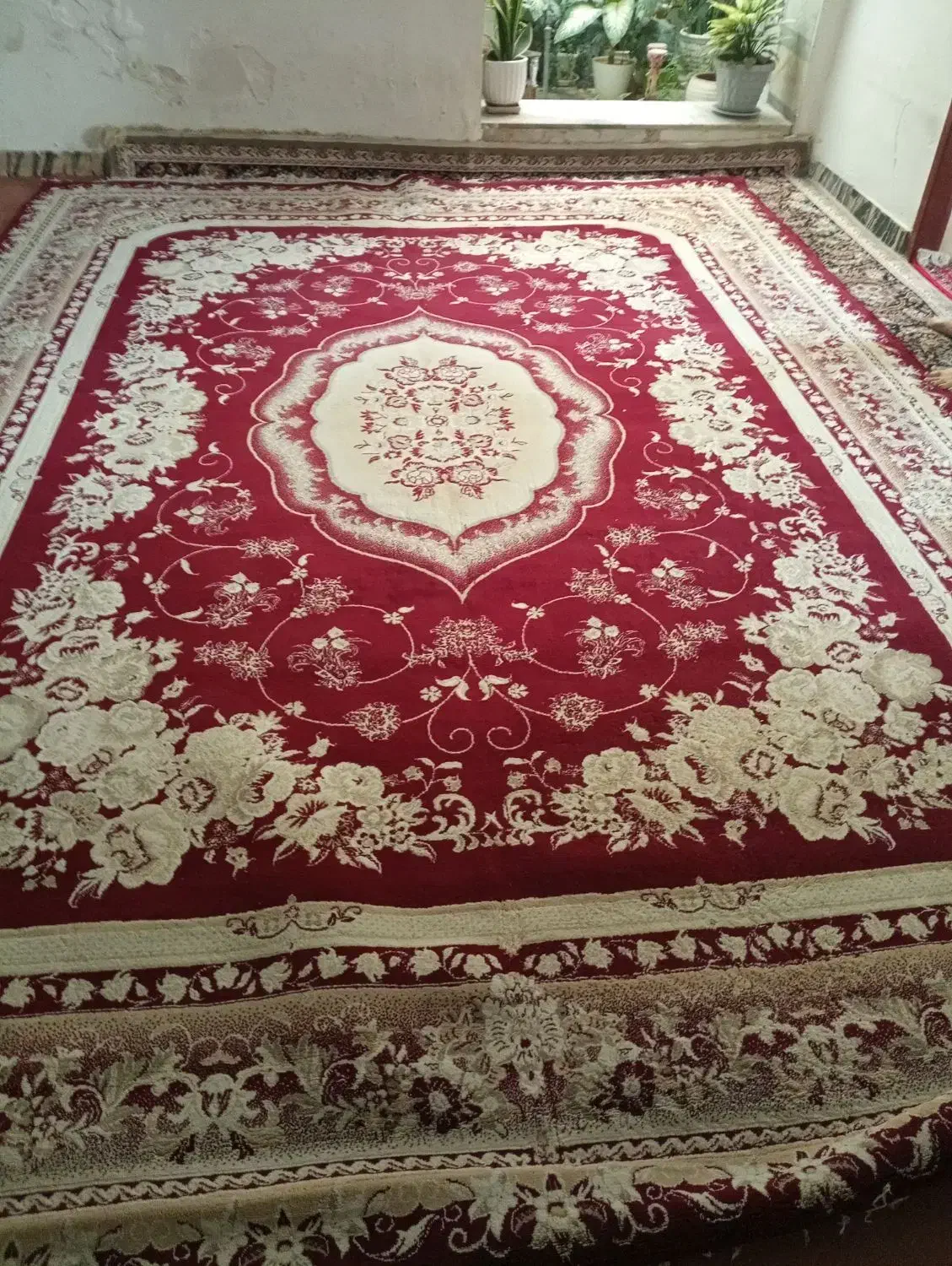 فرش فرش|فرش|صحنه, |دیوار