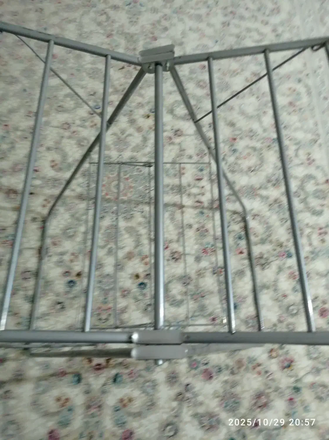 بندرخت سالم درحدنو|بندرخت و رختآویز|کوهدشت, |دیوار