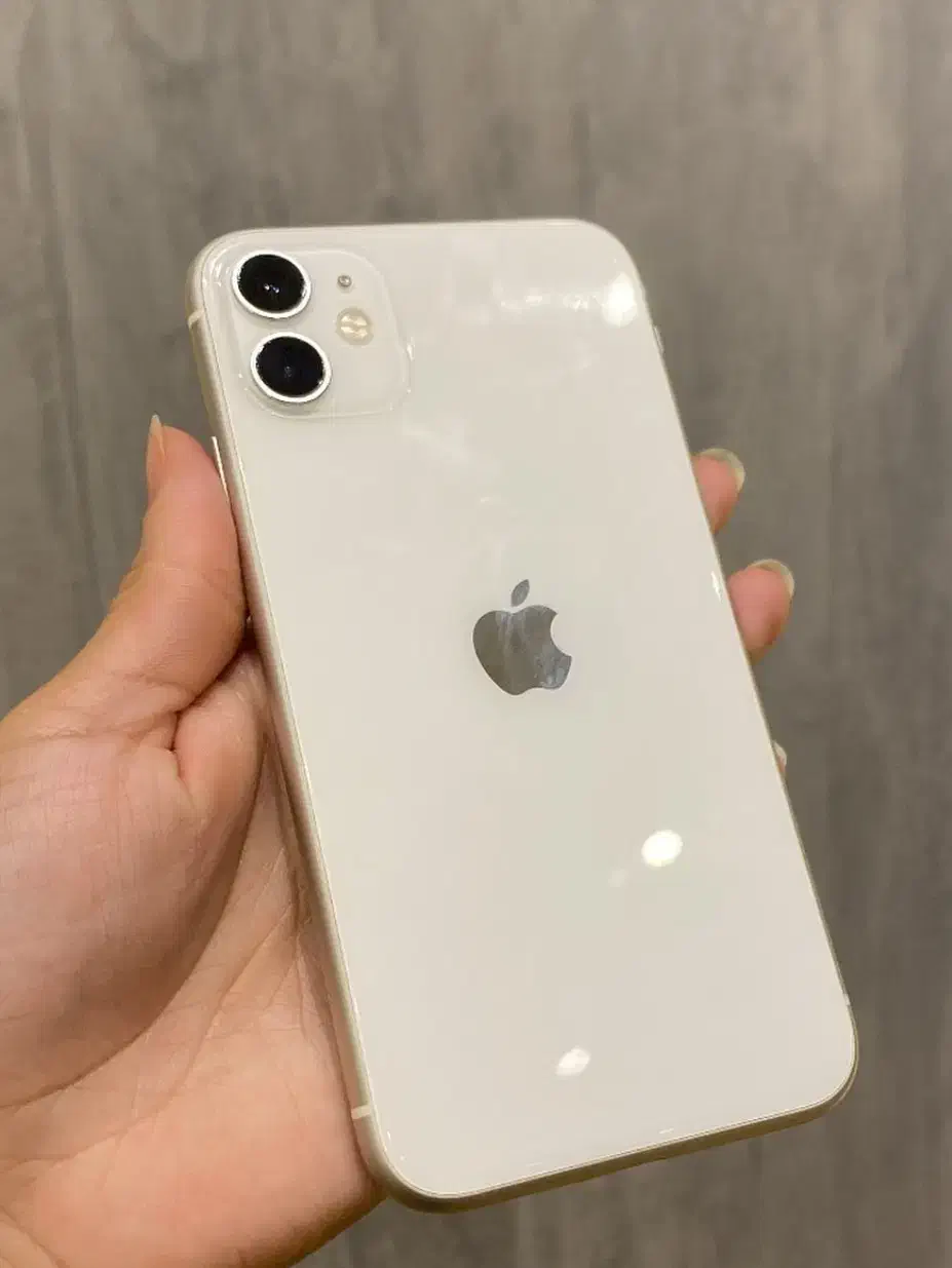 آیفون 11.zaaباطری 100|موبایل|شیراز, فخرآباد (دروازه کازرون)|دیوار