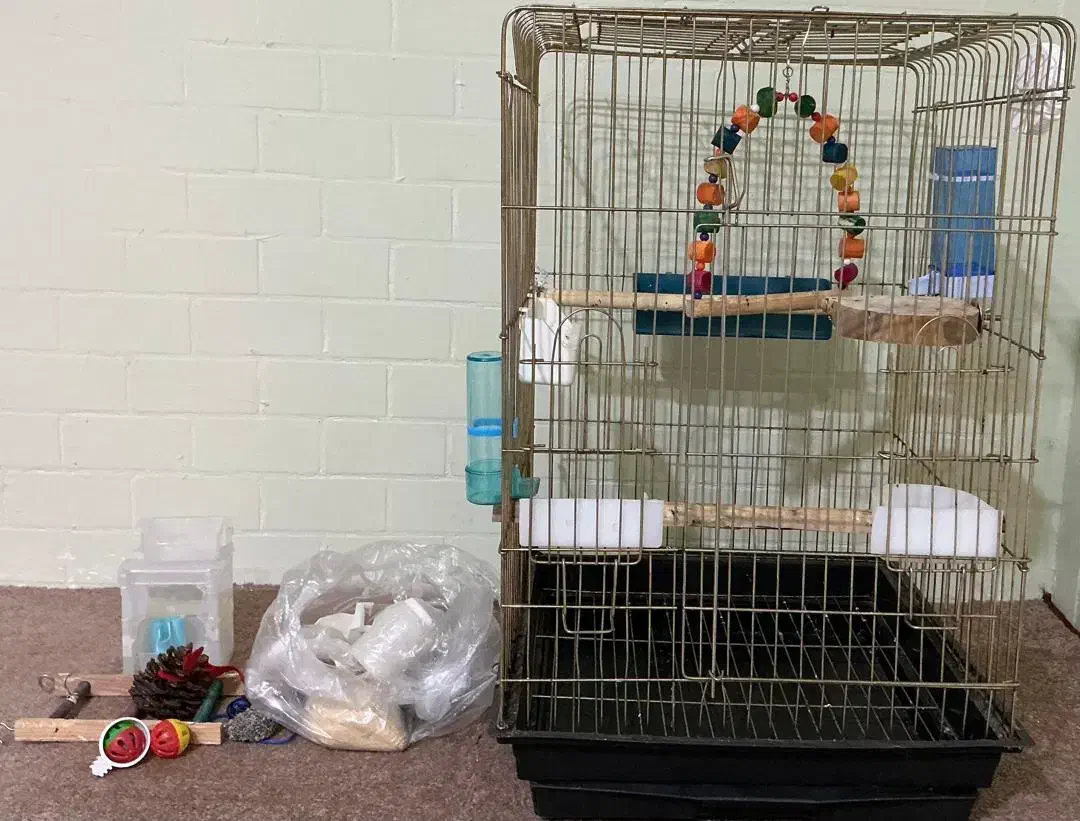 قفس پرنده|لوازم جانبی حیوانات|اندیمشک, |دیوار