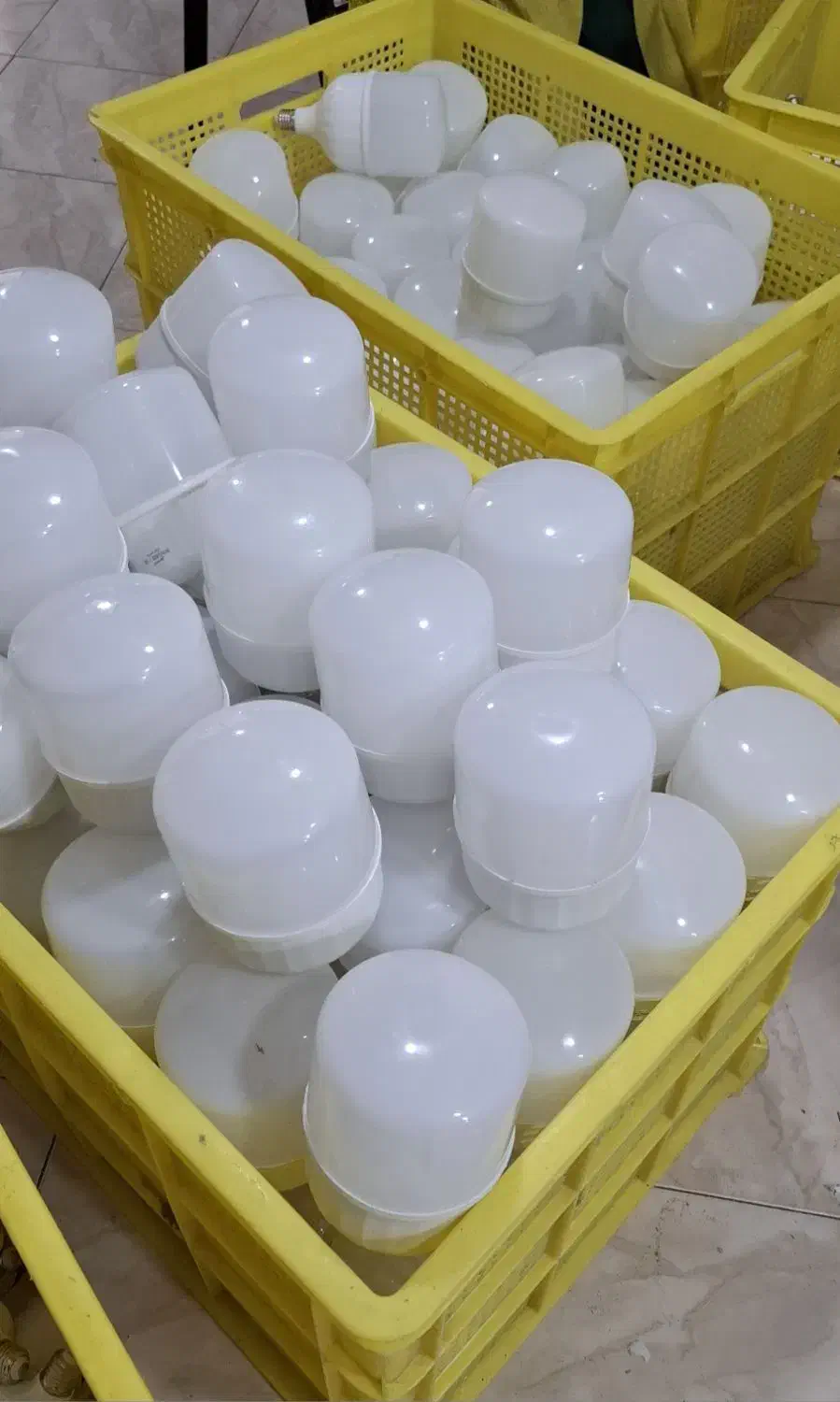 تولید و فروش لامپ و قطعات لامپ عمده و خرده|لامپ و چراغ|چابهار, |دیوار