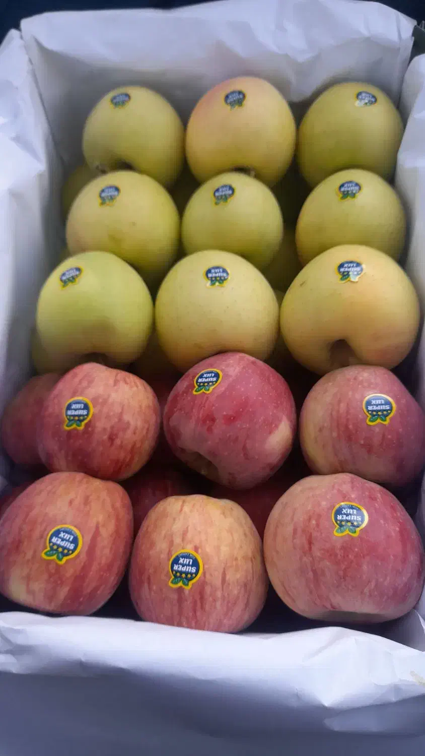 یک باربرای حمل دارم ازارومیه به مریوان|خدمات حمل و نقل|مریوان, |دیوار