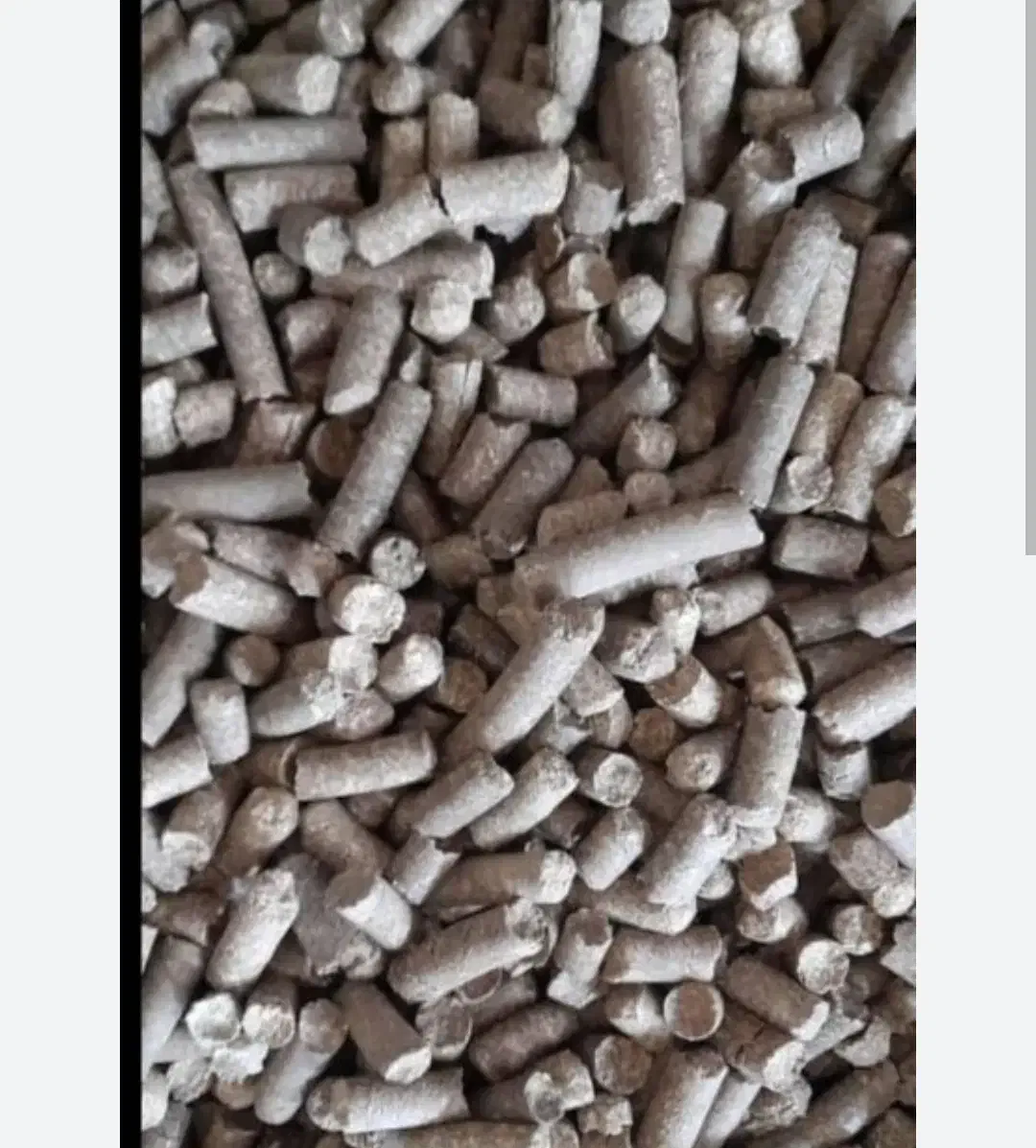 تفاله چغندر قند|عمده‌فروشی|مشگین شهر, |دیوار