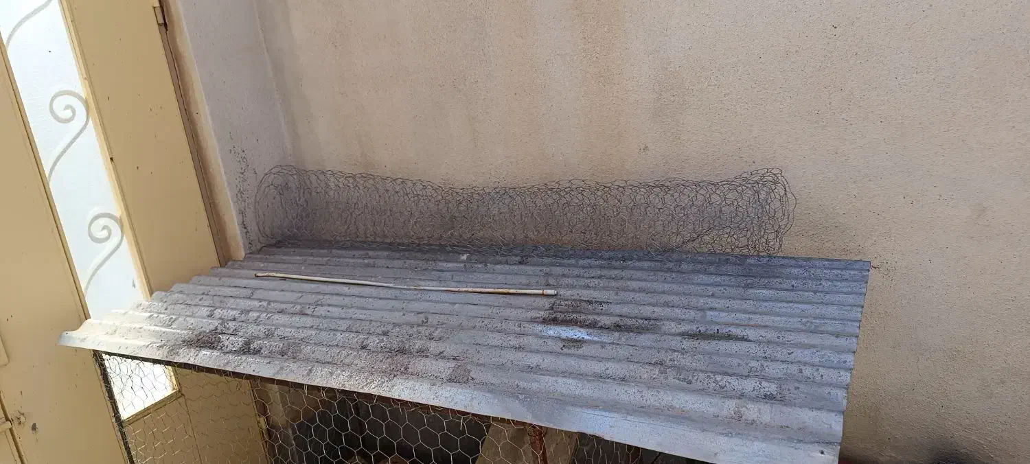 قفس|لوازم جانبی حیوانات|ماکو, |دیوار