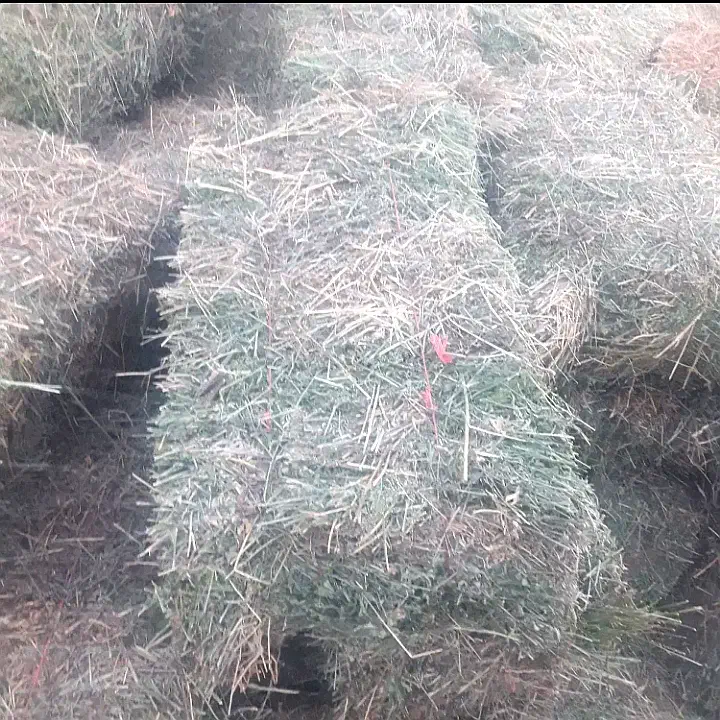 یونجه|عمده‌فروشی|سراب, |دیوار