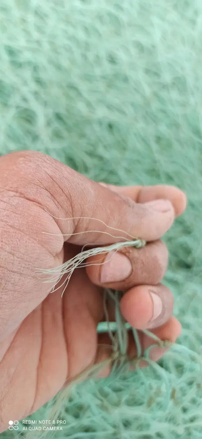 تور ابریشمی6 پان|ماهیگیری|بندر دیر, |دیوار