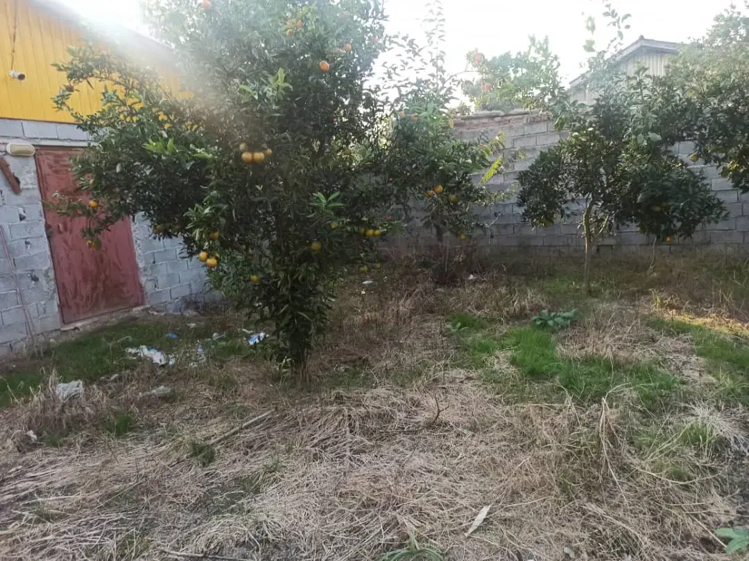 باغ ۵۷۰متری/با سوئیت ۵۰متری/با سند و مجوز و پروانه|فروش زمین و ملک کلنگی|زرگرشهر, |دیوار