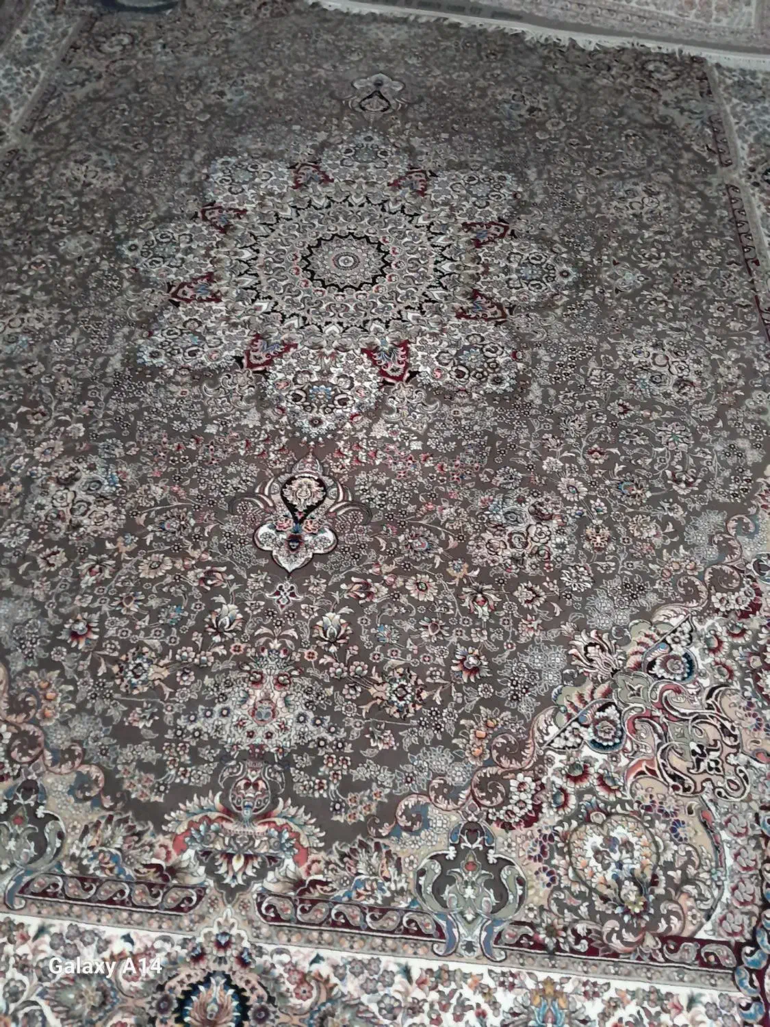 فروش فرش|فرش|قزوین, |دیوار