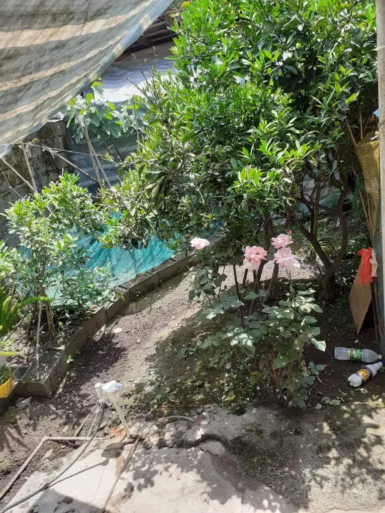 ویلای ۳۵۰ متری فقط ۲،۴۵۰ ( شهر باران ، فلاح )371|فروش خانه و ویلا|لشت نشا, |دیوار