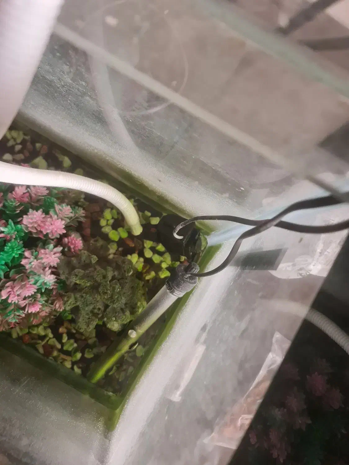 آکواریوم بزرگ کاملا سالم|ماهی|تهران, شمس‌آباد|دیوار